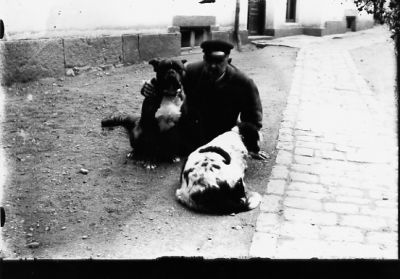 Man och 2 hundar sittande på backen framför byggnad.
Nyckelord: Hund