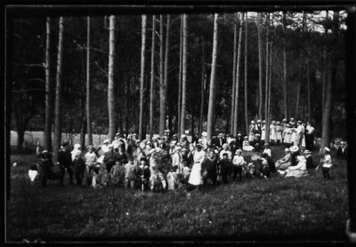 Ett antal personer samlade i skogsbacke.
Nyckelord: Skog