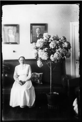 Kvinna sittande i rum.
Nyckelord: Tavla Blomma