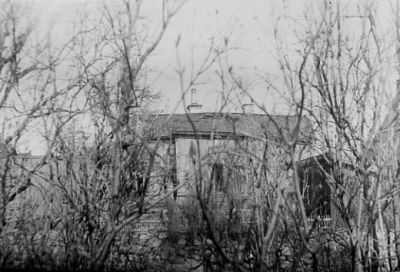 Byggnad bakom växtlighet.
Nyckelord: Växtlighet