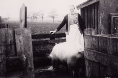 Kvinna stående vid gris.
Nyckelord: Gris Uthus