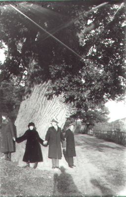 2 män och 2 kvinnor stående runt trädstam.
Nyckelord: Träd