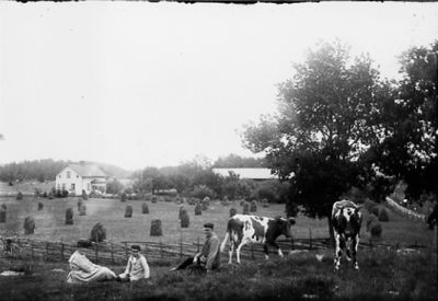 Man, kvinna och pojke sittande i hage med nötkreatur.
Nyckelord: Nötkreatur Gärdesgård Gärde Bostad