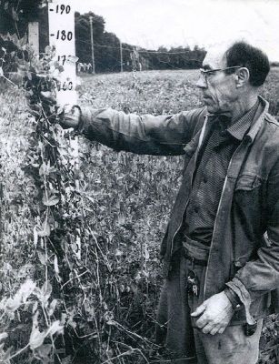 Man som mäter växthöjd
Tom Lindström
