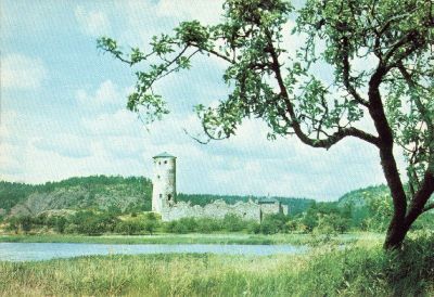 Slottsruin vid vatten
