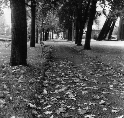 Promenadstråk genom park
Nyckelord: Parksoffa