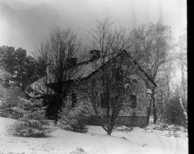 Hus med kala träd och snötäckt mark
Nyckelord: Hus Träd Snö