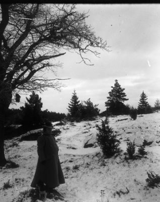 Kvinna stående i snöig skogsbacke
Nyckelord: En Enbuskar Enebuskar Snö 