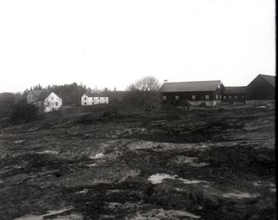 Lantgård med vita bostadshus och rödfärgade ladugårdsbyggnader
