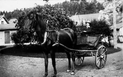 Kvinna sittande i hästekipage.
Nyckelord: Häst Vagn