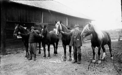 2 män stående med 4 hästar på ladugårdsplan.
Nyckelord: Häst