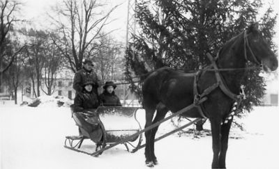 Man och 2 kvinnor på hästekipage.
Nyckelord: Häst Släde Vinter