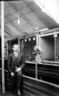 Man sittande med en apa på en ställning.
Nyckelord: Apa