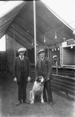 2 män stående med hund i utställningshall.
Nyckelord: Hund Papegoja