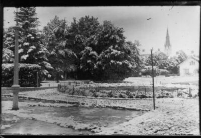 Vy från park med kyrka i bakgrunden.
