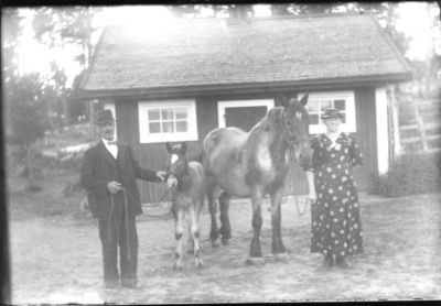 Man och kvinna stående med sto och föl.
Nyckelord: Häst Fölunge Dräkt