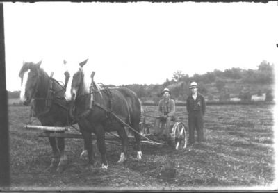 Man sittande på Slåttermaskin, dragen av 2 hästar. Man stående bredvid.
Nyckelord: Häst Slåttermaskin