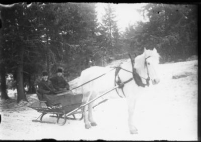 2 män sittande på hästekipage.
Nyckelord: Häst Släde Vinter