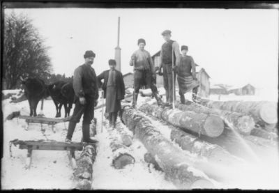 5 män stående på vedflod. Oxekipage stående bredvid.
Nyckelord: Oxe Släde Vinter