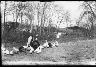 Kvinna stående bland fjäderfä.
Nyckelord: Höns