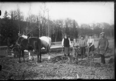 3 män och 2 pojkar stående bredvid hästar med harv.
Nyckelord: Häst Harv