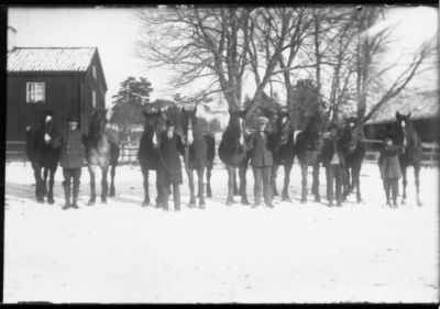 4 män och en pojke stående med 9 hästar.
Nyckelord: Häst Vinter