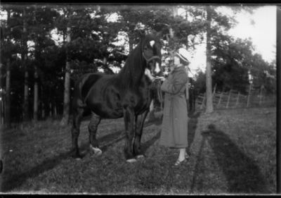 Kvinna stående med häst i skogsbacke.
Nyckelord: Häst Gärdesgård