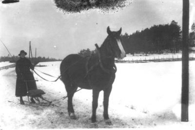 Kvinna stående på sparkdragen av häst.
Nyckelord: Häst Vinter Spark