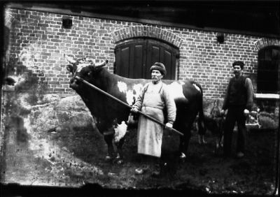 2 män stående med en tjur.
Nyckelord: Tjur