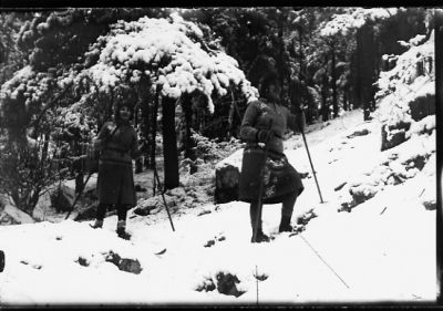 2 kvinnor på skidor i skogsbacke.
Nyckelord: Skog Skidor Vinter