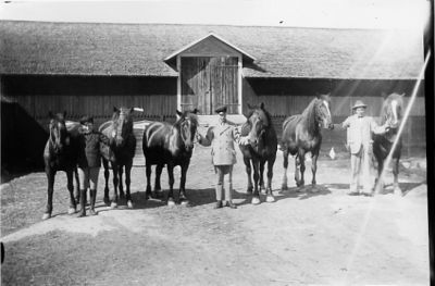 3 män stående med 6 hästar framför loge.
Nyckelord: Häst Loge Ladugård