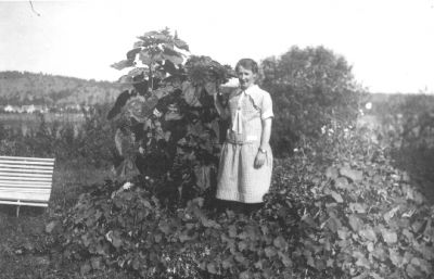 Kvinna stående bredvid växt.
Nyckelord: Parkbänk Växtlighet