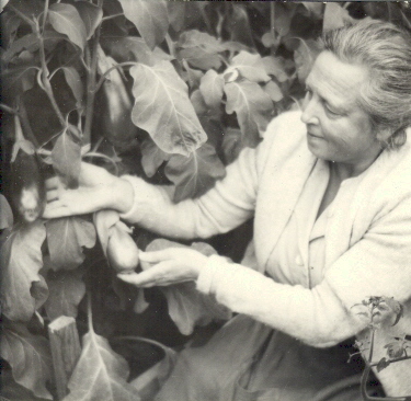 Kvinna vid växt med stora blad och frukter
