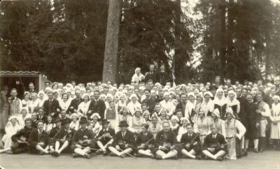 Ett stort antal folkdräktsklädda i naturen
Nyckelord: Dräkt;Fiol