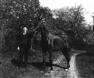 Man och häst stående på väg
Nyckelord: Häst