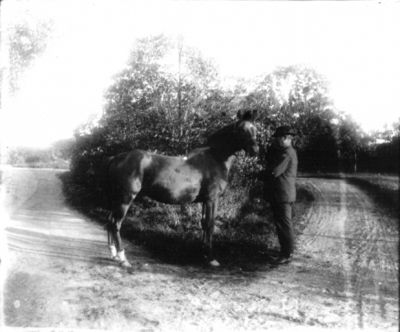 Man stående vid häst
Nyckelord: Häst