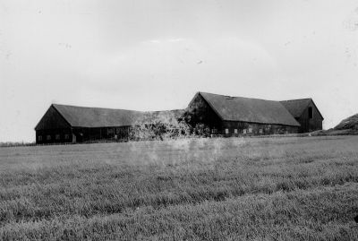 Stor ladugårdsbyggnad
