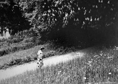 Kvinna promenerande på stig intill blommande kastanjeträd
