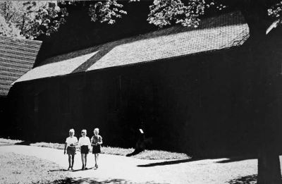 3 barn på promenad i park
