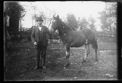 Man stående med häst i hage.
Nyckelord: Häst