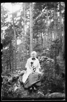 Kvinna sittande i skogsbacke.
Keywords: Skogsbacke Skog