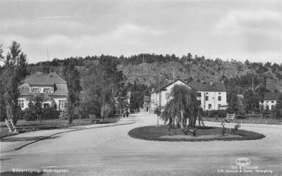 Gatuvy med rondell och hängbjörk
