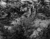 B8283.jpg