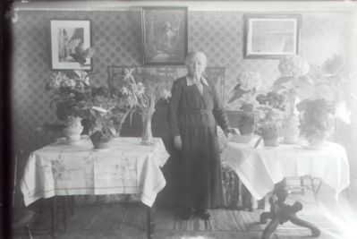 Kvinna stående i rum med blommor.
Keywords: Blommor Tavla