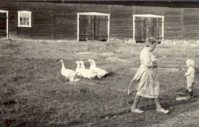 En kvinna och en flicka med gäss
