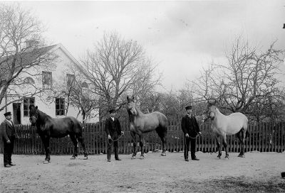 3 män med 3 hästar framför byggnad
Nyckelord: Häst