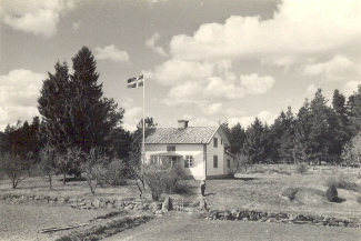 Vitt torp i skogsbryn
