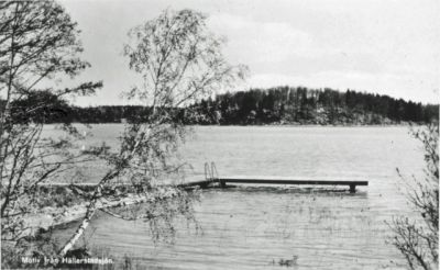 Badbryggor i sjö

