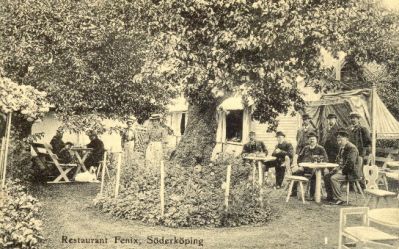 Trädgårdsservering
