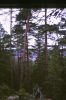 B2923.jpg